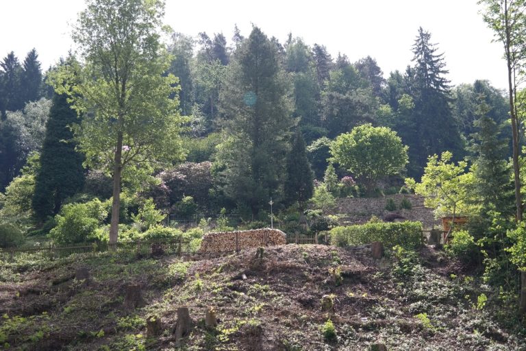 Botanischer Garten Bad Schandau Sachsen Erkunden