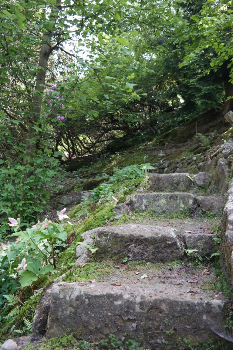 Botanischer Garten Bad Schandau Sachsen Erkunden