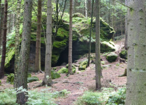 Wildbretkeller oder Wildbrethöhle am Großen Zschirnstein