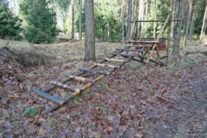 "Liegestand" in der Dresdner Heide